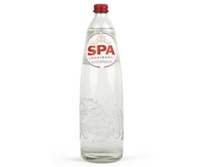 Spa petillant 50cl
